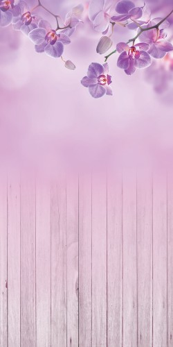kwx019p