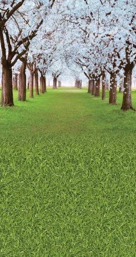 al004