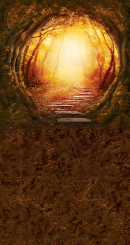 al006