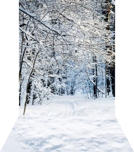 Tło fotograficzne świąteczne / zimowe - SW035