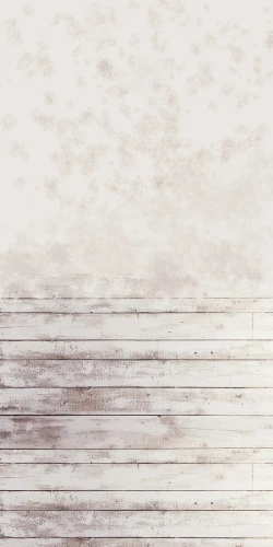 zn001