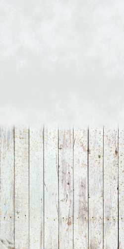 zn002
