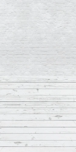 zn003