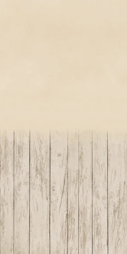 zn009