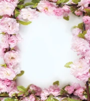 Tło fotograficzne na wesele w rozmiarze 180x200 WEDD255
