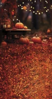 jsn018_160x300_800px.jpg