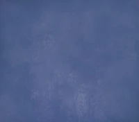 jsn031_podłoga_250x220_800px.JPG