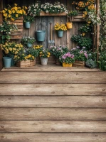 wsn109_300x400_RGB_800px.JPG