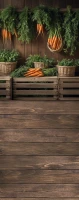 wsn111_160x400_RGB_800px.JPG