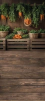 wsn111_180x400_RGB_800px.JPG