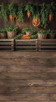 wsn111_220x400_RGB_800px.JPG