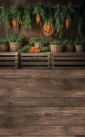 wsn111_250x400_RGB_800px.JPG
