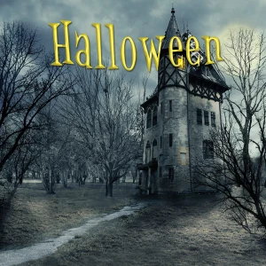 Tło fotograficzne winylowe, ścianka, flat lay, halloween 510g - HA019_