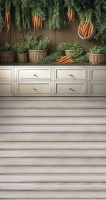 wsn113_160x300_RGB_800px.JPG