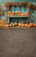 Jesienne tło do zdjęć z turkusową szopą i dyniami – JSN047 250x400.JPG