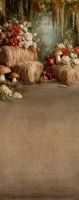 Jesienne tło fotograficzne z kwiatami, sianem i grzybami – JSN062 160x400.JPG