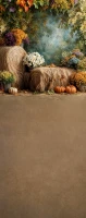 Tło do zdjęć jesień z sianem, dyniami i chryzantemami – JSN063 160x400.JPG