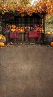 Jesienne tło do zdjęć ze straganem owocowym – JSN072 220x400.JPG