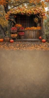 Tło fotograficzne jesień z leśnym straganem – JSN073 200x400.JPG