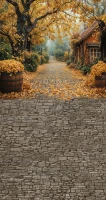 Tło fotograficzne ze złotą jesienną uliczką – JSN100 160x300.JPG