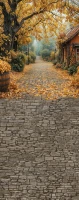 Tło fotograficzne ze złotą jesienną uliczką – JSN100 160x400.JPG