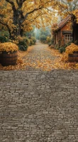 Tło fotograficzne ze złotą jesienną uliczką – JSN100 220x400.JPG