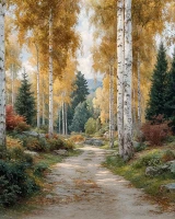 Tło fotograficzne z jesienną ścieżką w brzozach – JSN108 160x200.JPG