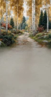 Tło fotograficzne z jesienną ścieżką w brzozach – JSN108 160x300.JPG