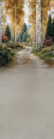 Tło fotograficzne z jesienną ścieżką w brzozach – JSN108 160x400.JPG