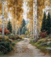 Tło fotograficzne z jesienną ścieżką w brzozach – JSN108 180x200.JPG