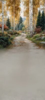 Tło fotograficzne z jesienną ścieżką w brzozach – JSN108 180x400.JPG