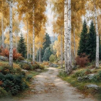 Tło fotograficzne z jesienną ścieżką w brzozach – JSN108 200x200.JPG
