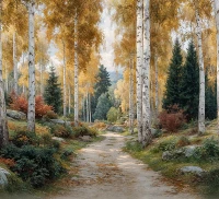 Tło fotograficzne z jesienną ścieżką w brzozach – JSN108 220x200.JPG