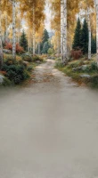 Tło fotograficzne z jesienną ścieżką w brzozach – JSN108 220x400.JPG