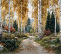 Tło fotograficzne z jesienną ścieżką w brzozach – JSN108 250x220.JPG