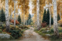 Tło fotograficzne z jesienną ścieżką w brzozach – JSN108 300x200.JPG
