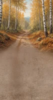 Jesienne tło fotograficzne ze złotą drogą brzozową – JSN109 160x300.JPG