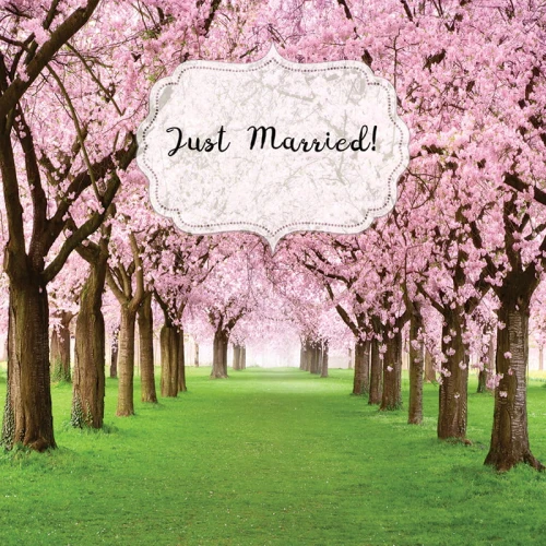 wedd043