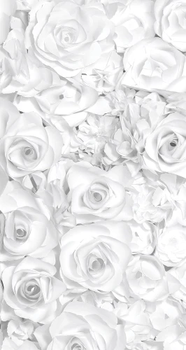 flo001