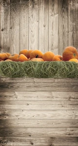 Tło fotograficzne winylowe jesienne halloween 510g - HA001