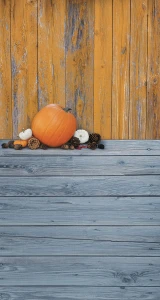 Tło fotograficzne winylowe jesienne halloween 510g - HA012
