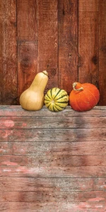 Tło fotograficzne winylowe jesienne halloween 510g - HA037