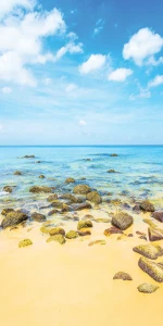 Tło fotograficzne winylowe plaża morze 510g - NA005