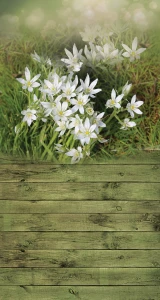 Tło fotograficzne winylowe wiosenne 510g - WSN011